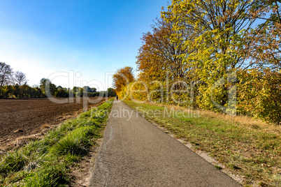 Landscape in the autumn