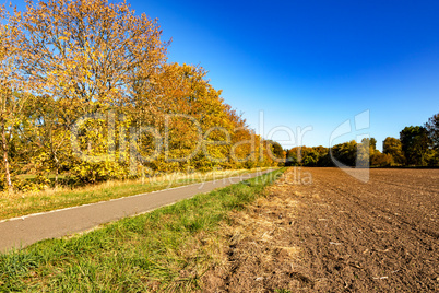 Landscape in the autumn