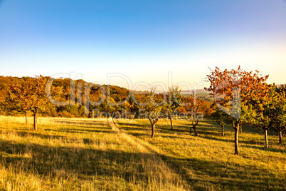 Landscape in the autumn
