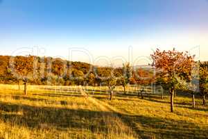 Landscape in the autumn