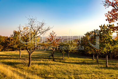 Landscape in the autumn