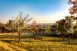 Landscape in the autumn