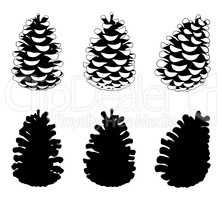 Set of different pine cones