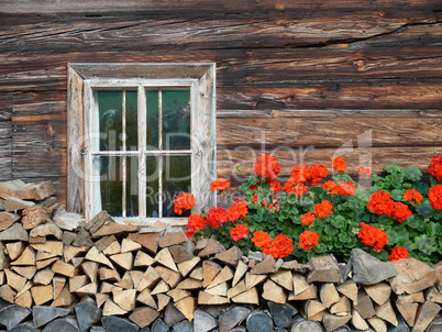 Blumenfenster