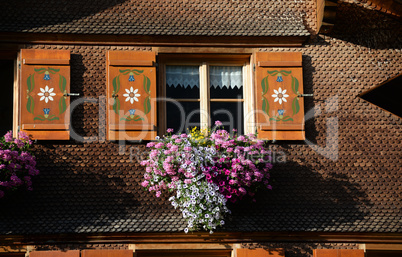 Blumenfenster