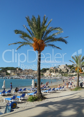 Port de Soller , Mallorca