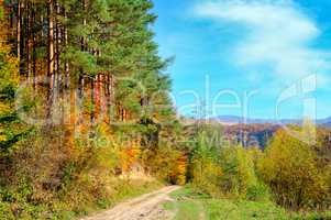 Colorful autumn landscape with picturesque forest and old countr