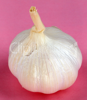 Garlic on Pink Background