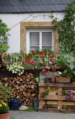 Blumenfenster