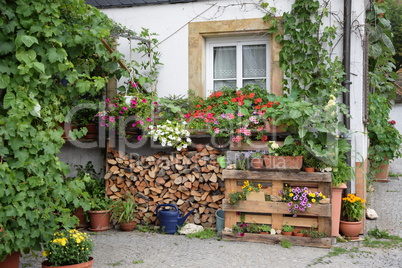 Blumenfenster