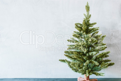 Green Tree, Copy Space For Advertisement, Gray Background