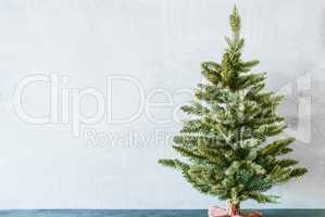 Green Tree, Copy Space For Advertisement, Gray Background