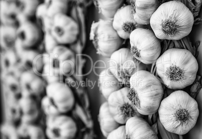 Harrow of garlic in a market