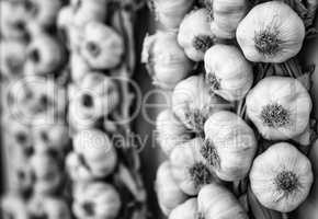 Harrow of garlic in a market