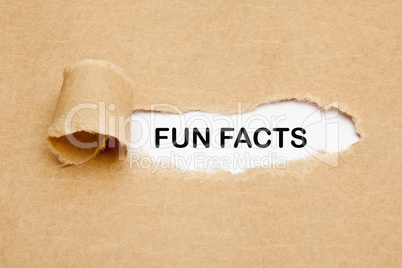 Fun Facts Torn Paper Concept