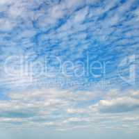 cumulus clouds in the blue sky