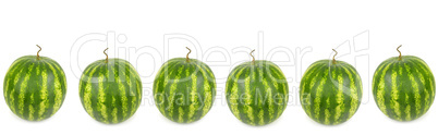 Round appetizing watermelons isolated on white background. Colla