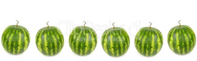 Round appetizing watermelons isolated on white background. Colla