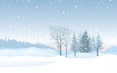 Christmas snowfall background. Snow winter landscape. Merry Chri