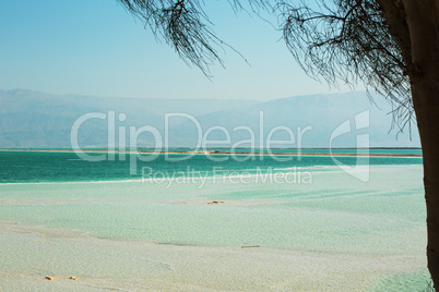 Beautiful coast of the Dead Sea .