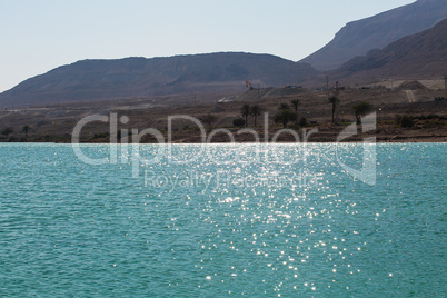 Beautiful coast of the Dead Sea .