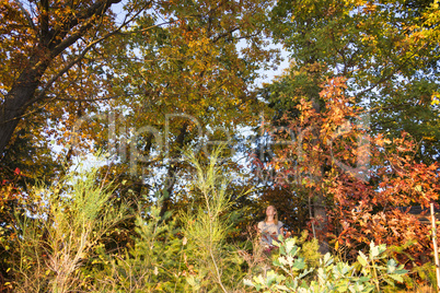 Women standing standing in an autumnal colorful forest