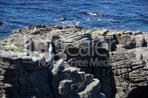 Cote Sauvage, Quiberon, Bretagne