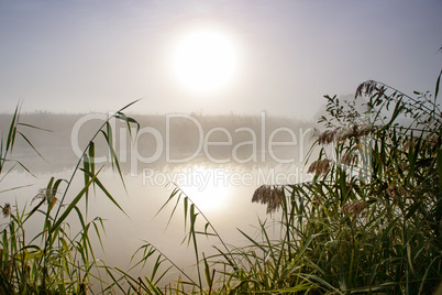Dramatic mystical twilight landscape with rising sun, tree, reed and fog over water.