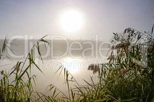 Dramatic mystical twilight landscape with rising sun, tree, reed and fog over water.