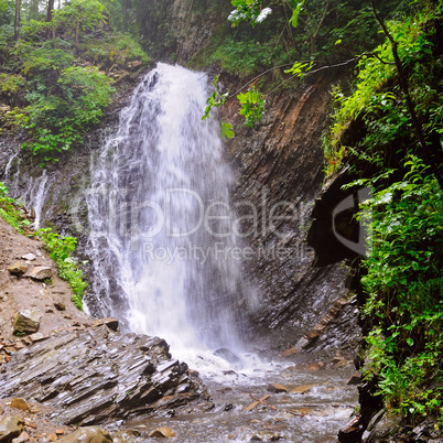 Beautiful waterfall with trees, rocks and stones in forest. Ukra