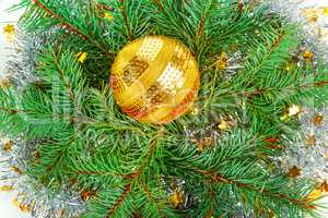 Christmas golden ball on the background of a wreath of spruce tw