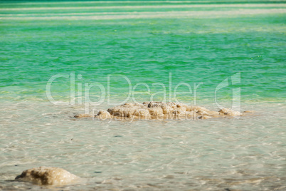 Beautiful coast of the Dead Sea .