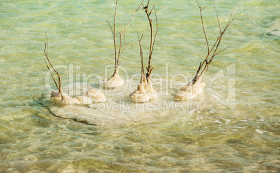 Beautiful coast of the Dead Sea .