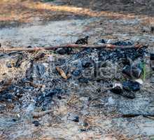 extinguished bonfire in the forest on the sand