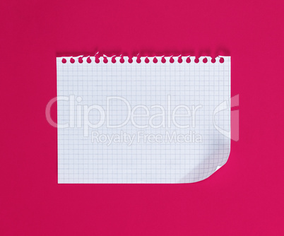 empty rectangular sheet torn out of notepad