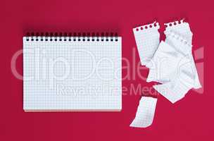 open notebook in a cell and a torn sheet on a red background