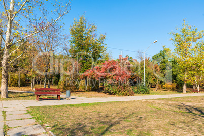 city public park on an autumn sunny day