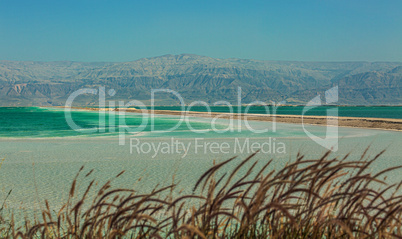 Beautiful coast of the Dead Sea .