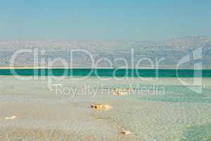 Beautiful coast of the Dead Sea .