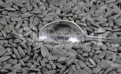 sunflower seeds background and teaspoon sunflower seeds background and teaspoon