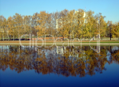 park in gold fall