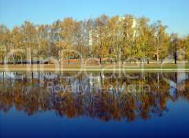 park in gold fall