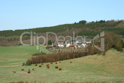 village Landscape