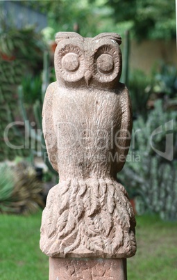 Eagle Owl  (Bubo bubo)