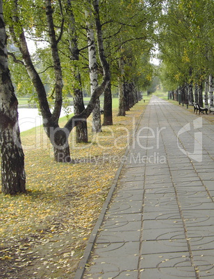 city park in autumn