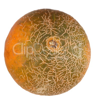 Melon Isolated