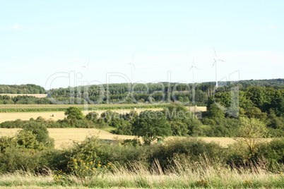 Fields and forests