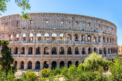 Coliseum in greenery, summer view,  no people, Rome, Italy