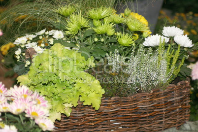 Mixed vegetable basket