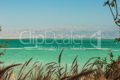 Beautiful coast of the Dead Sea .